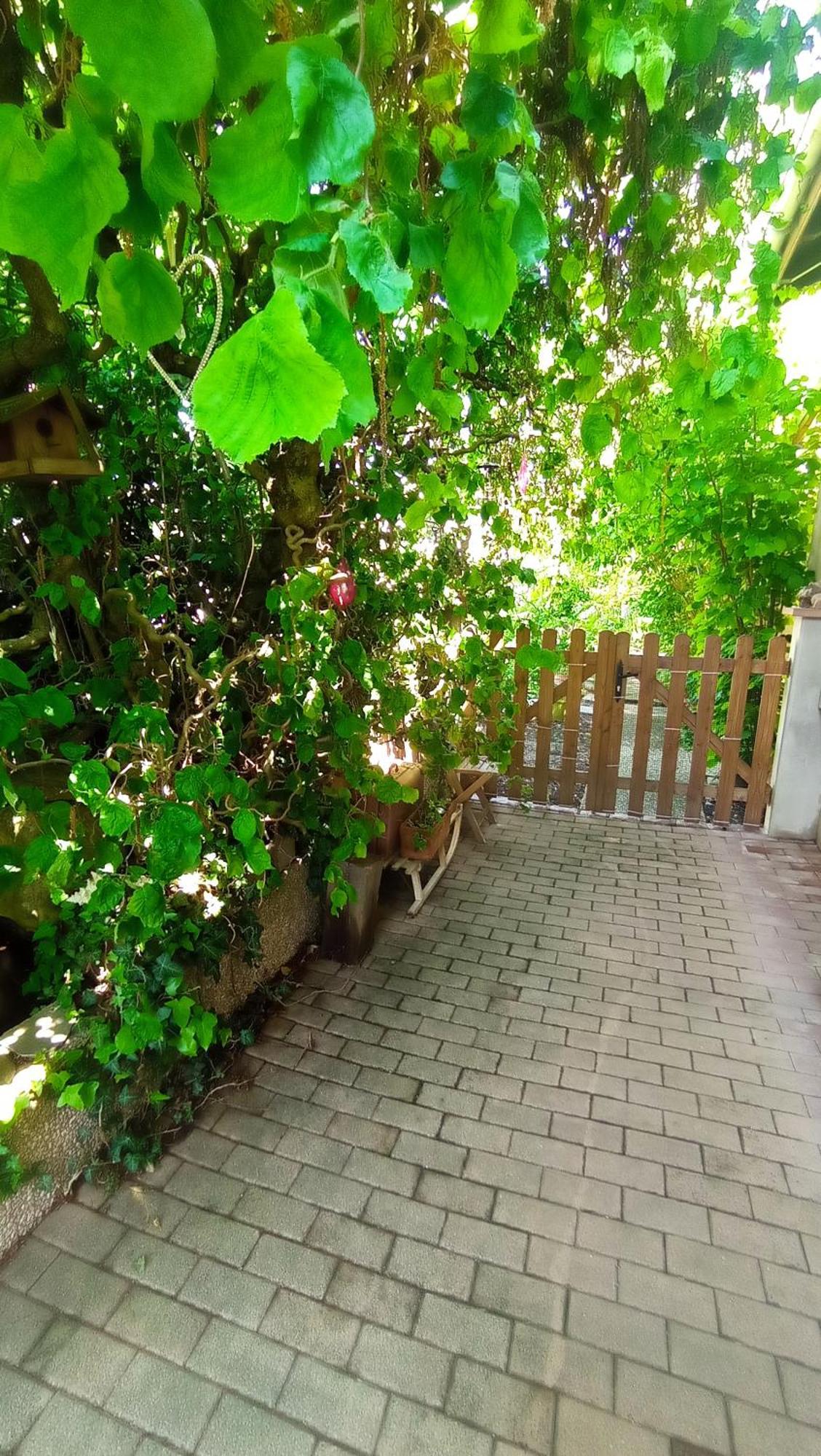 Garden Duplex Apartment Sundhoffen Bagian luar foto